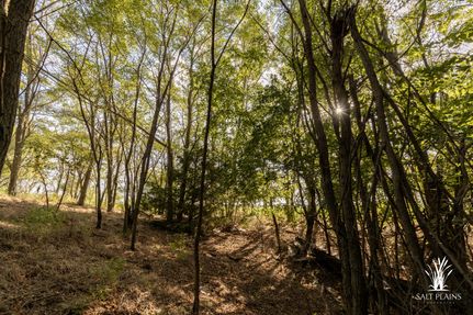 Undeveloped Land in Grady County, Oklahoma
