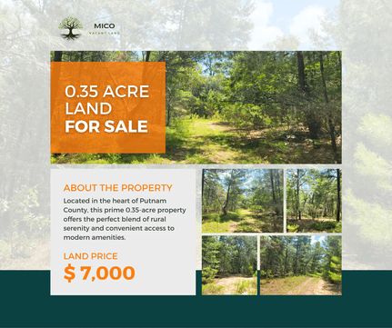 Undeveloped Land in Putnam County, Florida