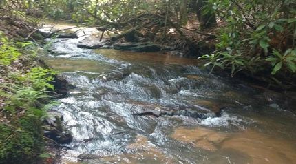 Undeveloped Land in Gilmer County, Georgia