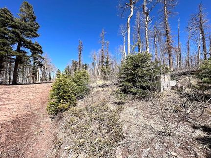 Undeveloped Land in Costilla County, Colorado