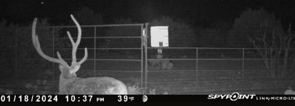 Timberland Property in Edwards County, Texas