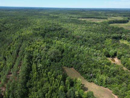 Timberland Property in Saluda County, South Carolina