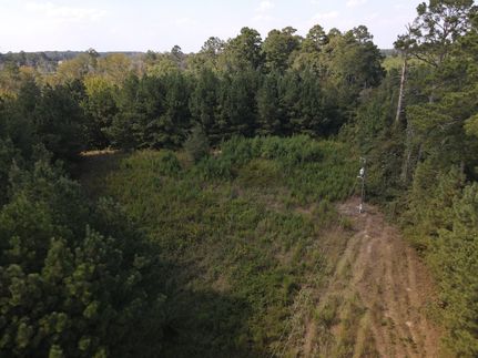 Farm and Ranch in Union Parish, Louisiana