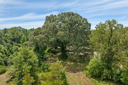 Recreational Property in Bullock County, Alabama