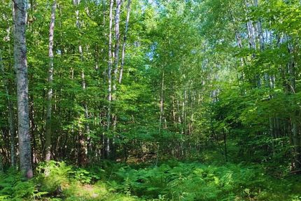 Undeveloped Land in Mille Lacs County, Minnesota