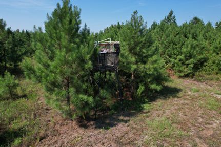 Recreational Property in Darlington County, South Carolina