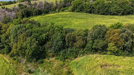 Land for sale in Decatur County, Iowa