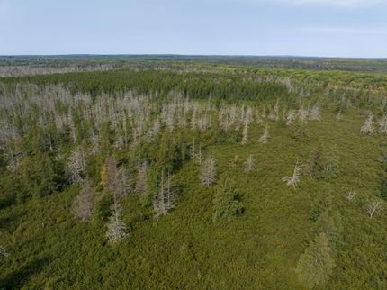 Recreational Property in Ashland County, Wisconsin