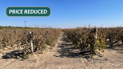 Farm and Ranch for sale in Madera County, California