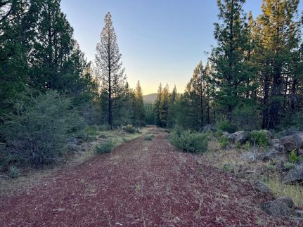 Undeveloped Land in Modoc County, California