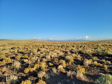 Timberland Property in Costilla County, Colorado