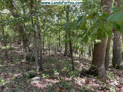 Undeveloped Land in Benton County, Arkansas