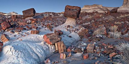 Undeveloped Land in Navajo County, Arizona