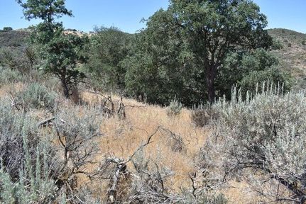 Undeveloped Land in Kern County, California