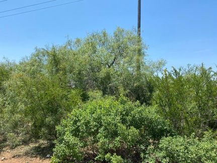 Recreational Property in Duval County, Texas