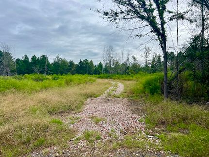 Land in Montgomery County, Georgia