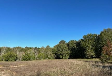 Hunting Property in Houston County, Texas