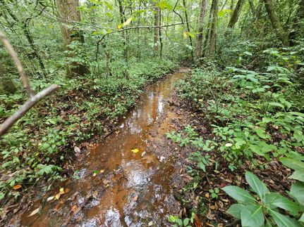 Hunting Property in Dale County, Alabama