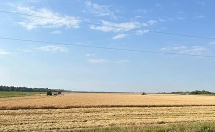 Farm and Ranch in Greene County, Arkansas