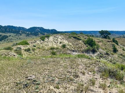 Timberland Property in Custer County, Montana