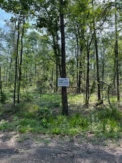Farm and Ranch in Grant Parish, Louisiana