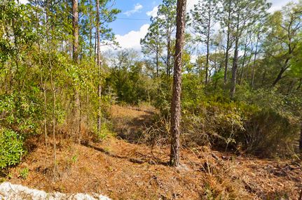 Undeveloped Land in Putnam County, Florida