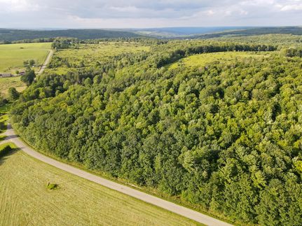 Undeveloped Land in Allegany County, New York