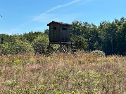 Farm and Ranch in Sanilac County, Michigan