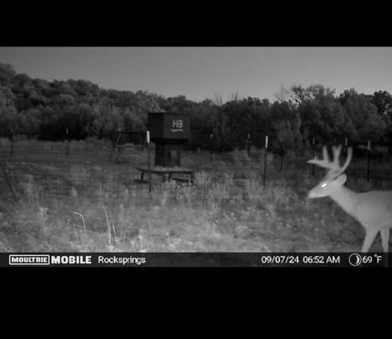 Timberland Property in Edwards County, Texas