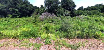 Recreational Property in Marion County, Florida