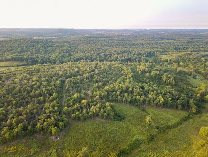 Timberland Property in Ozark County, Missouri