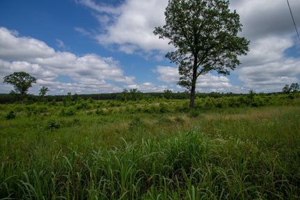 Timberland Property in Pittsylvania County, Virginia