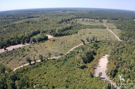 Timberland Property in Hampton County, South Carolina