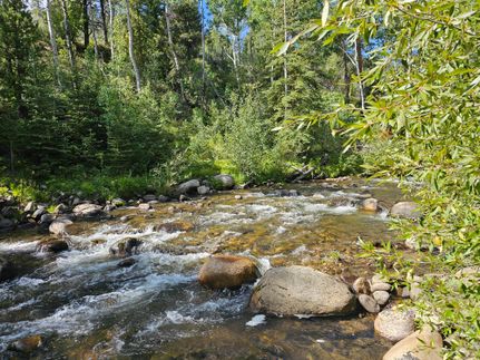 Riverfront Property for sale in Chaffee County, Colorado
