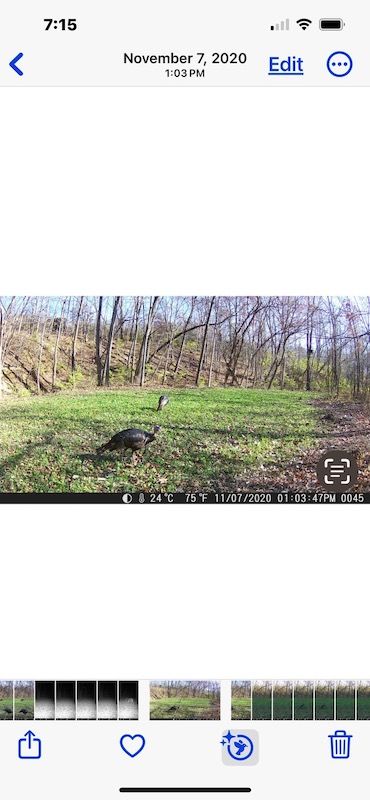 Farm and Ranch in Henry County, Iowa