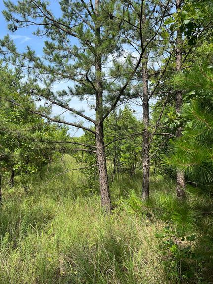 Hunting Property for sale in McIntosh County, Oklahoma