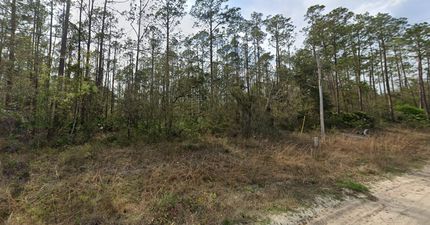 Homesite for sale in Putnam County, Florida