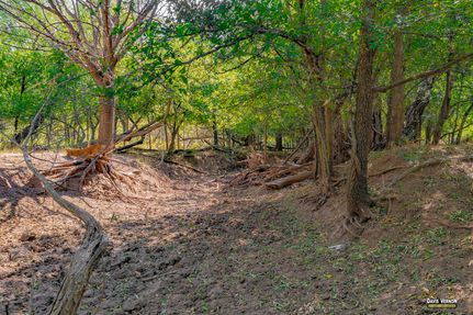 Farm and Ranch in Cottle County, Texas