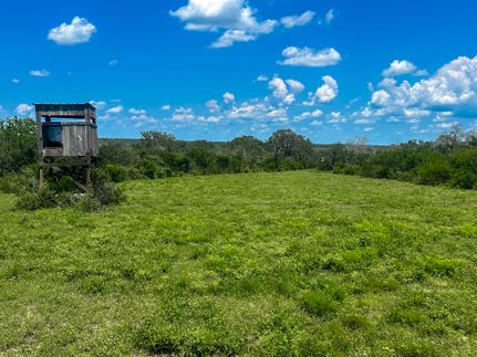 Farm and Ranch for sale in Bee County, Texas