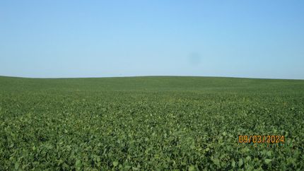 Land in Pierce County, Nebraska