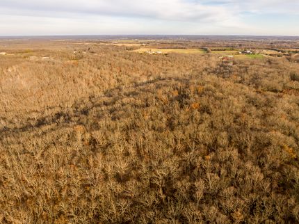 Undeveloped Land in Saint Clair County, Missouri