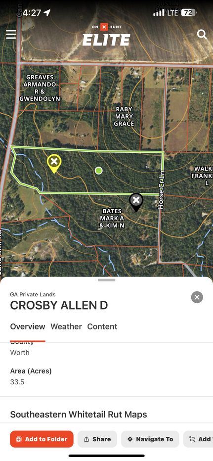 Timberland Property in Worth County, Georgia