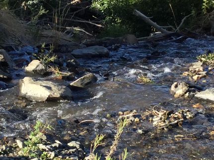 Land in Mono County, California