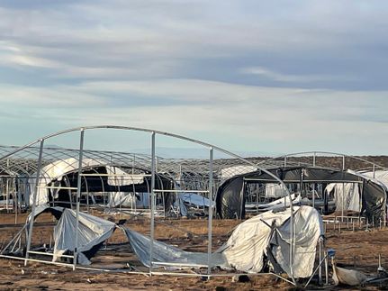 Undeveloped Land in Los Angeles County, California