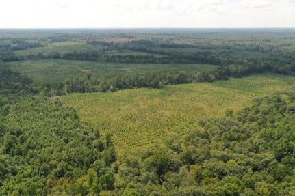 Land for sale in Cass County, Texas