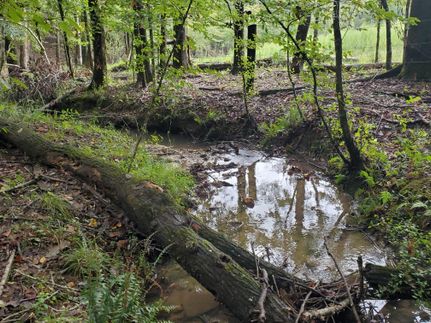 Recreational Property in Tallapoosa County, Alabama