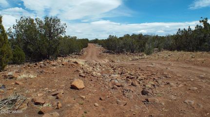 Lakefront Property in Navajo County, Arizona