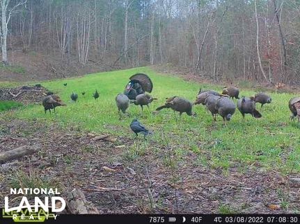 Recreational Property in Chilton County, Alabama