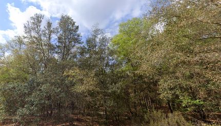 Undeveloped Land for sale in Putnam County, Florida