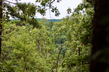 Undeveloped Land in Le Flore County, Oklahoma